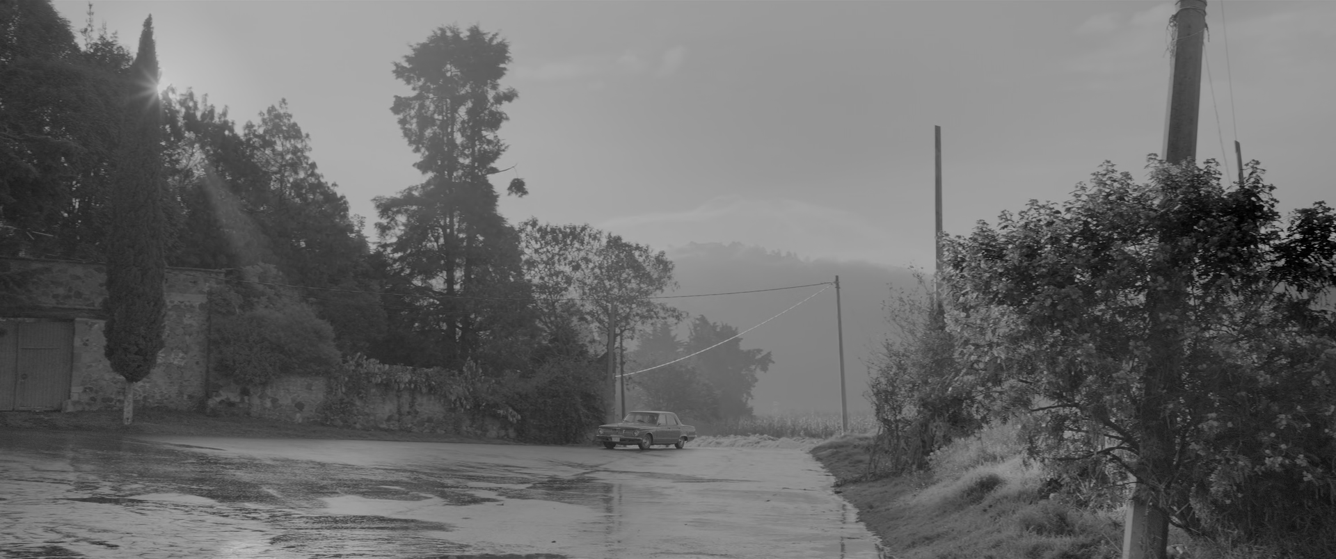 A black-and-white exterior shows trees, low buildings and a wet road beneath a pale sky.
