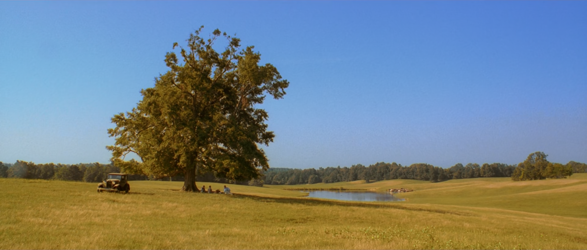 A lone broad tree and a parked vintage car stand in a dry ochre field beneath a clear blue sky, a pond curving away to the right.