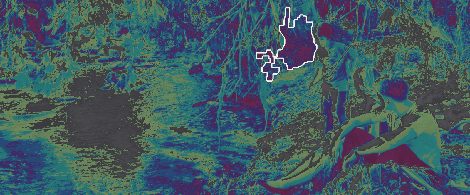 A black-geometry map of the same frame, the dappled shadows appearing as hundreds of separate small regions with one outlined as the largest.