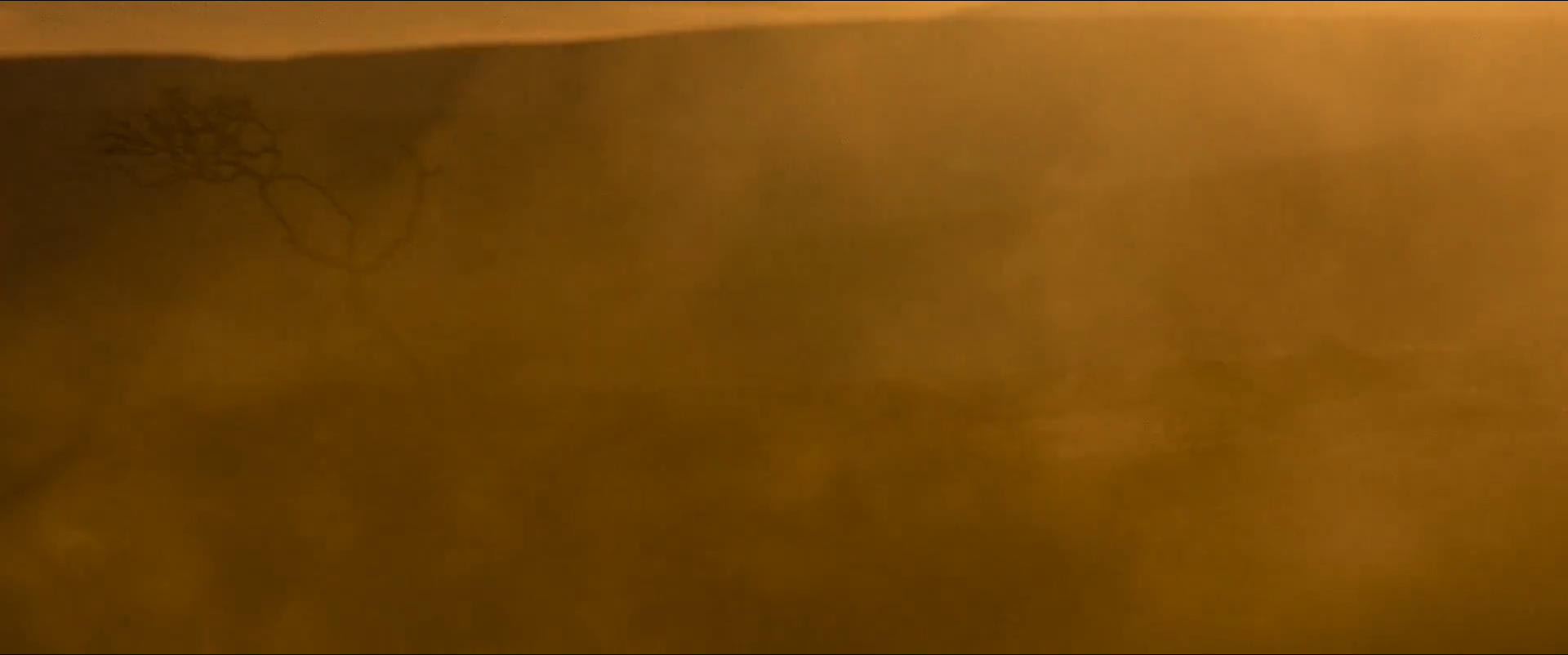 Shot 0097 from Sisu. Golden dust drives C*ab to 42.1 at saturation 0.93 with warm balance at a clean 1.000 — the chromatic ceiling of the entire film, and it lasts seven seconds.