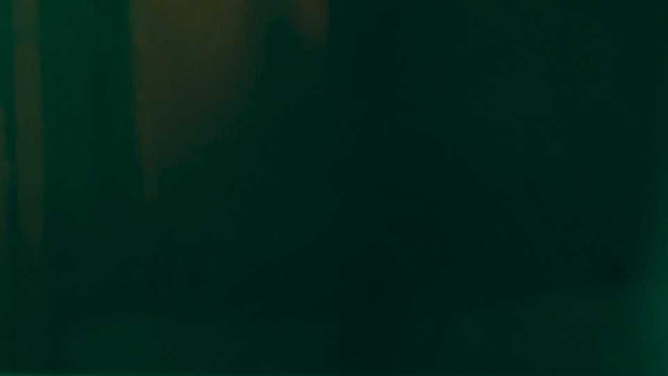 A dark green interior lit from above, as the master shows it.
