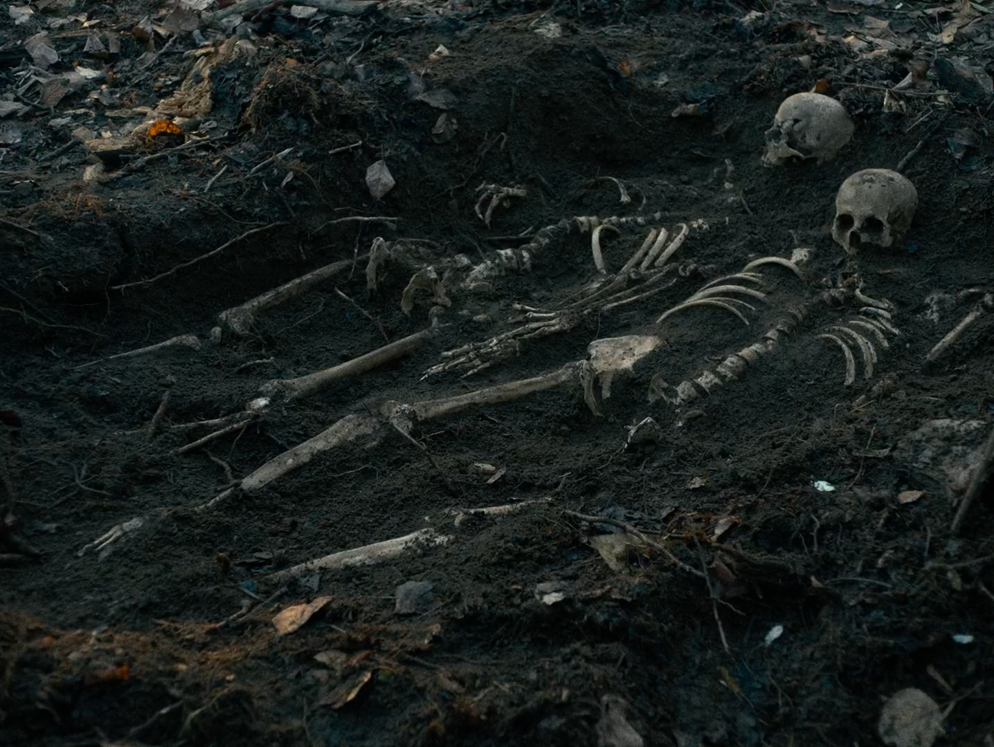 Bones and skulls half buried in dark mud and leaf litter.