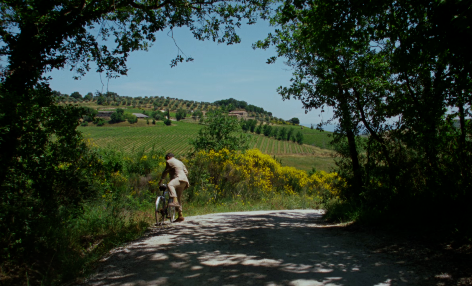 A cyclist follows a light road beneath a dark arch of foliage; the distant fields remain lighter and less enclosed.