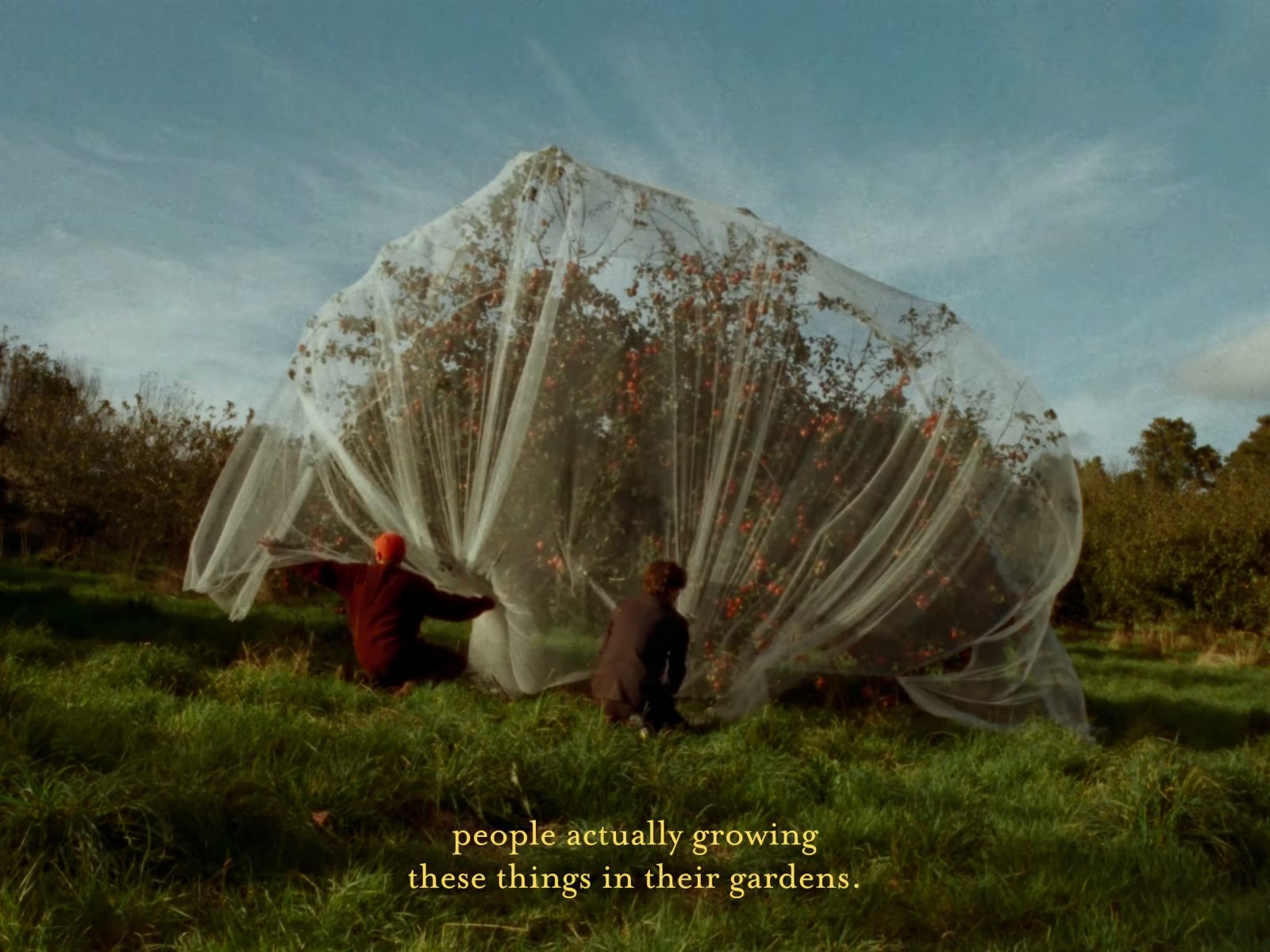 Figures hold translucent pale fabric over an apple tree beneath a blue sky, revealing the tree through a softened veil; yellow subtitles cross the darker grass below.