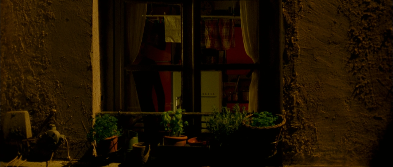 A small warmly lit window and plants in a nearly black amber exterior wall.