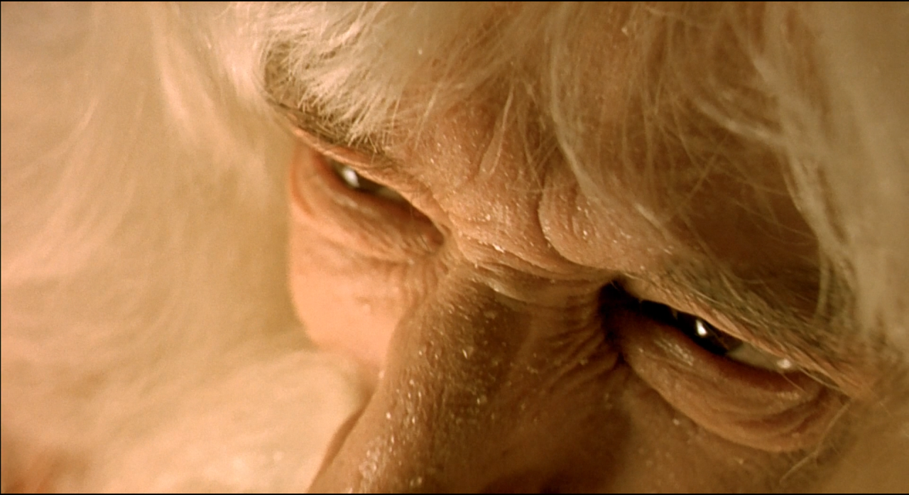 Extreme close-up of a pale white-haired face in creamy warm light.